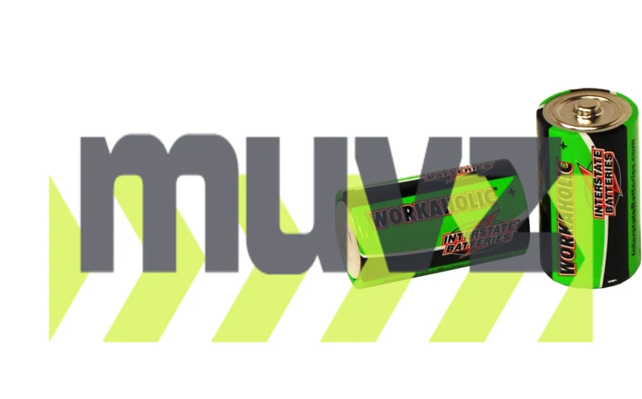 1.5 volt, Alkaline D-Cell Battery